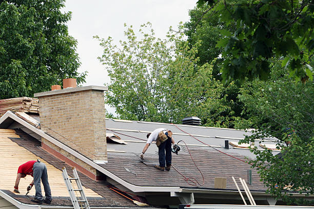 Best Roof Moss and Algae Removal  in Mcgehee, AR